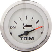 Sierra 59657P 2" Trim Gauge