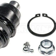 Dorman - OE Solutions 539-211 Suspension Ball Joint