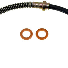Dorman H380203 Hydraulic Brake Hose