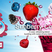 Little Trees auto air freshener, Sunberry Cooler, 6-Packs (4 Count)