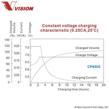 Vision CP650S Battery