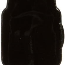 DELPHI GN10553 New Plug Top Ignition Coil