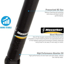 Maxorber Rear Set Shocks Struts Absorber Kit Compatible with Nissan Sentra 2007 2008 2009 2010 2011 2012 Shock Absorber 341659 1212-0187 342489 1921659 72402