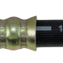 Dorman H381033 Hydraulic Brake Hose