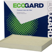 ECOGARD XC10573 Premium Cabin Air Filter Fits Elantra 2017-2020, Accent 2018-2019, Elantra GT 2018-2020 | Kia Rio 2018-2019, Forte 2019