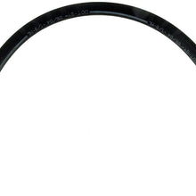 Dorman H97667 Rear Brake Hose