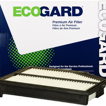 EcoGard XA10467 Air Filter Fits 2019, 2016-2015 Honda CR-V