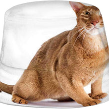 Seamless Geese Pattern - - Goose,Unisex Summer Bucket Hat - Sun Hat Packable Vacation Hat Fun Access
