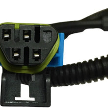 CAMARO LS3 LS7 OXYGEN O2 SENSOR EXTENSION HARNESS FULL 24" DUAL KIT OXYGEN0019: 5th GEN 10-15 SS and Z28