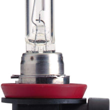 HELLA H11 Standard Halogen Bulb, 12 V, 55W