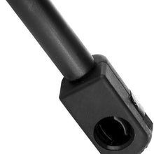 Rear Liftgate Hatch Tailgate Lift Supports Gas Springs Shocks Struts for Mercury Mountaineer 2001-2007,Ford Explorer 2002-2005 4584 SG204043,Pack of 2