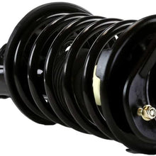 Auto Shack CST100080PR Front Complete Strut Assembly Pair