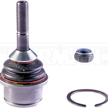 DORMAN BJ85035XL Suspension Ball Joint