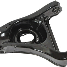 Moog RK620462 Control Arm and Ball Joint Assembly