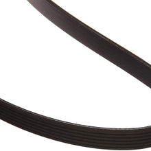Roadmax 6K956AP Serpentine Belt