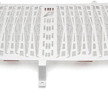 AltRider F609-1-1102 Radiator Guard for the BMW F 650 GS - Silver (Silver)