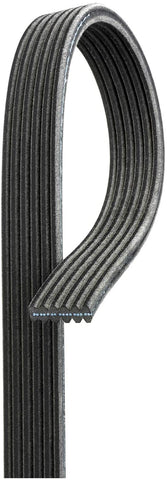ACDelco 6DK504 Professional Double-Sided V-Ribbed Serpentine Belt