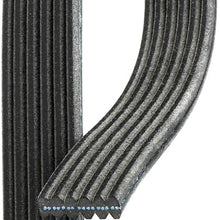 ACDelco 6DK901 Professional Double-Sided V-Ribbed Serpentine Belt