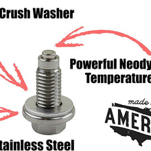 Votex - DP006 Stainless Steel Oil Drain Plug with Neodymium Magnet (M12-1.25) - MADE IN USA