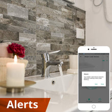Smart Leak Sensors 2 Pack, YoLink 1/4 Mile World's Longest Range Wireless Smart Water Leak Sensor Compatible with Alexa and IFTTT Leak Detector with App Alerts and Remote Monitor, YoLink Hub Included