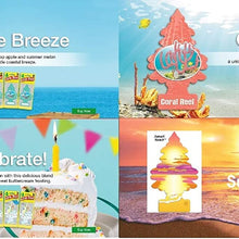 Little Trees Home and Car Air Fresheners 12 Pack Vacation Pack Ultra Rare Scents