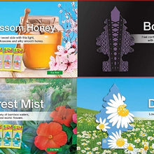 Little Trees Home and Car Air Fresheners 12 Pack Vacation Pack Ultra Rare Scents