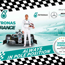 Petronas P9066 Fuel Cleaner