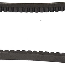 Continental 22440 Automotive Truck V-Belt