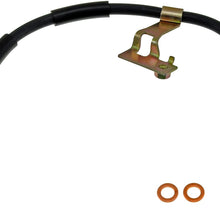 Dorman H380074 Hydraulic Brake Hose