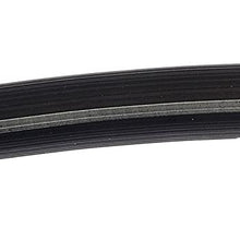 Dorman H620452 Hydraulic Brake Hose