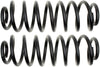 ACDelco 45H0385 Professional Rear Coil Spring Set