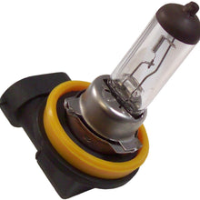 EVO 93390 Formance White 4500K Spectras Xenon H11 Bulb