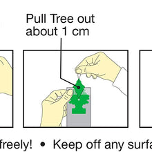 LITTLE TREES Car Air Freshener | Hanging Tree Provides Long Lasting Scent for Auto or Home | Eucalyptus, 6-Packs (4 count)