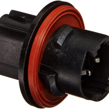 GM Genuine Parts 92227778 Turn Signal and Parking Lamp Socket