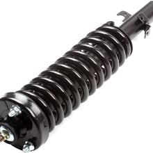 ECCPP 2X Front Complete Strut Assembly Shock Absorber for 1994 1995 1996 1997 for Honda Accord