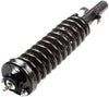 ECCPP 2X Front Complete Strut Assembly Shock Absorber for 1994 1995 1996 1997 for Honda Accord