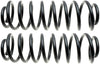 ACDelco 45H2133 Professional Rear Coil Spring Set