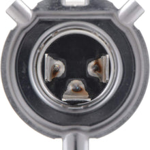 Bosch Automotive 9003ST Light Bulb