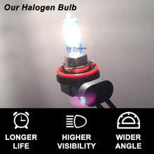 CK FORMULA (Set of 2) H11 Halogen Headlight Bulbs (Low Beam) 12V 100W 5000K Super White, PGJ19-2 Base
