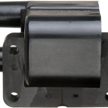 Delphi GN10274 Ignition Coil
