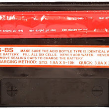 ACDelco ATX16BS Specialty AGM Powersports JIS 16-BS Battery