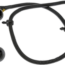Dorman 645-936 Tail Light Harness