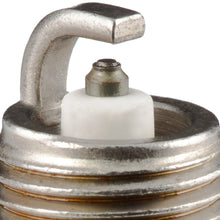 Autolite APP3923 Double Platinum Spark Plug