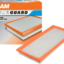 Fram Fresh Breeze - Filtro de aire de cabina con bicarbonato de sodio Arm & Hammer, CF10729 para vehículos seleccionados Chrysler, Dodge y Jeep