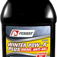 Winter Pow-R Plus 202012 Plus Diesel Fuel Treatment - 12-Ounce Bottle
