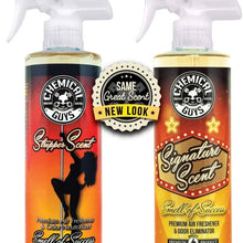 Chemical Guys Signature Scent Premium Air Freshener and Odor Eliminator (16 oz)