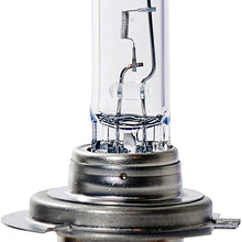 GE Lighting H7-55NHP/BP2 Nighthawk Platinum Replacement Bulb, 2-Pack