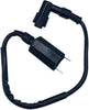 SHUmandala 21121-1229 21121-1160 21121-1198 Ignition Coil fit Kawasaki Bayou KLF400 KLF220 KLF250 1988-2011/Prairie KVF300 KVF360 KVF400 1997-2012/ Eliminator 125 BN125 2001-2009
