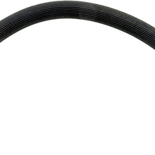 Dorman H381349 Hydraulic Brake Hose