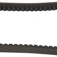 Continental 22624 Automotive Truck V-Belt